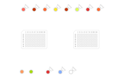 Sample Preparation for mAb Subunit Analysis, with deglycosylation - thumbnail
