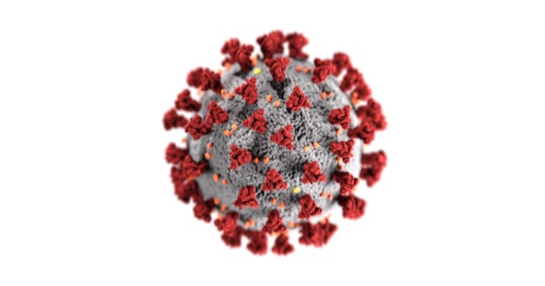 Protocol illustration image